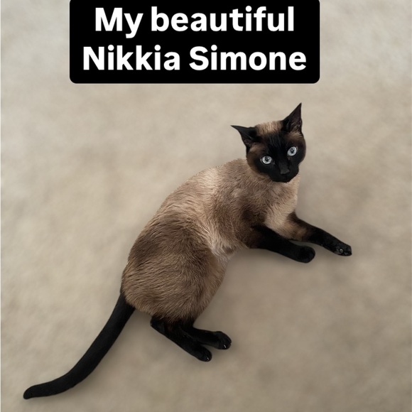 OFFICIAL TAG LIST- Like/Drop Closet name to b notified via price drop! - Picture 14 of 14